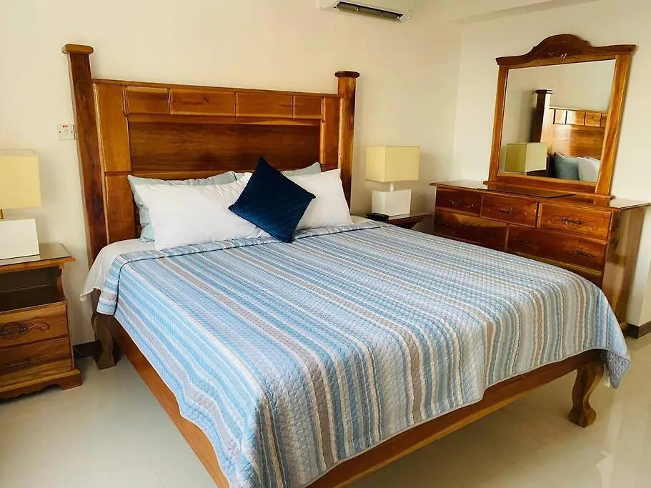 Luxurious & Modern In The Heart Of New Kingston Appartement